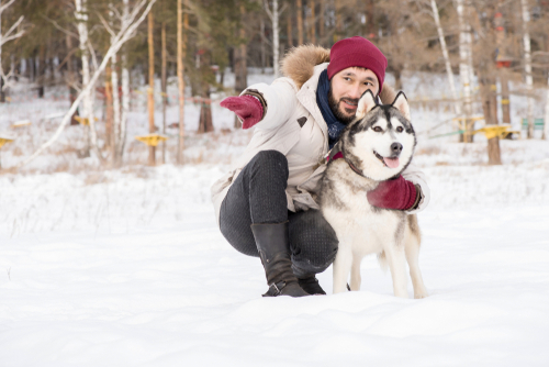 Man with his pet dog in the snow _ House Service App _ pet care