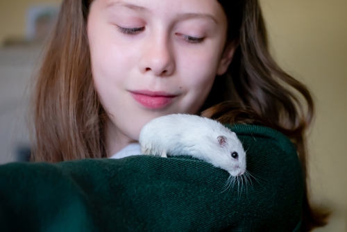 Young girl with a hamster friend _ House Service App _ Hub of on-demand home services